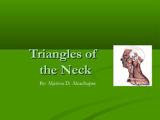 Triangles ofTriangles of
the Neckthe Neck
By: Aljeirou D. Alcachupas
 
