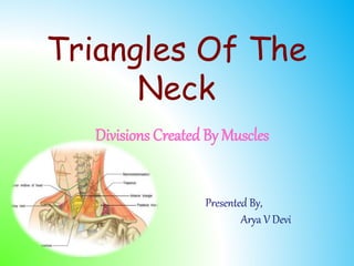 Triangles Of The
Neck
Divisions Created By Muscles
Presented By,
Arya V Devi
 