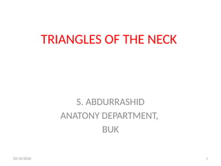 triangles of the neck | ppt Images High Quality Grahic TRIANGLES OF THE NECK.pptx HUMAN ANATOMY HEAD AND NECK | PPTX