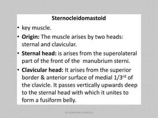 DR NDAYISABA CORNEILLE
 