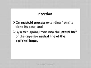 DR NDAYISABA CORNEILLE
 