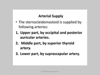 DR NDAYISABA CORNEILLE
 