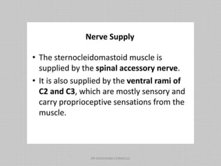 DR NDAYISABA CORNEILLE
 