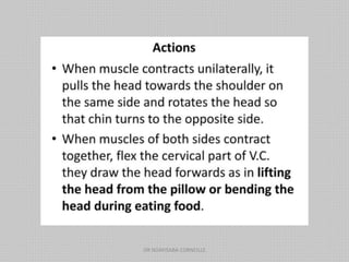 DR NDAYISABA CORNEILLE
 