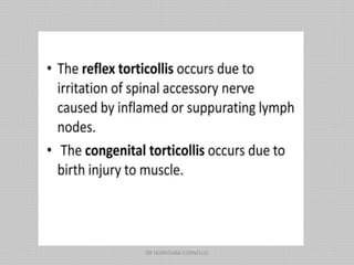 DR NDAYISABA CORNEILLE
 