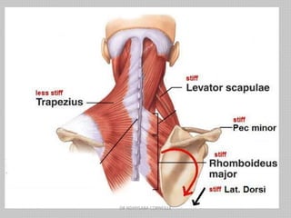 DR NDAYISABA CORNEILLE
 
