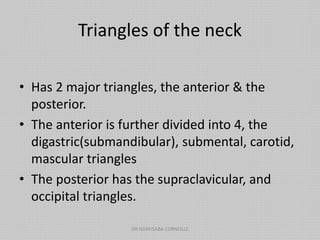 Triangles of the neck
• Has 2 major triangles, the anterior & the
posterior.
• The anterior is further divided into 4, the
digastric(submandibular), submental, carotid,
mascular triangles
• The posterior has the supraclavicular, and
occipital triangles.
DR NDAYISABA CORNEILLE
 