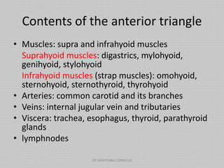 Contents of the anterior triangle
• Muscles: supra and infrahyoid muscles
Suprahyoid muscles: digastrics, mylohyoid,
genihyoid, stylohyoid
Infrahyoid muscles (strap muscles): omohyoid,
sternohyoid, sternothyroid, thyrohyoid
• Arteries: common carotid and its branches
• Veins: internal jugular vein and tributaries
• Viscera: trachea, esophagus, thyroid, parathyroid
glands
• lymphnodes
DR NDAYISABA CORNEILLE
 