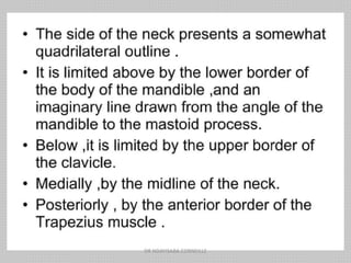 DR NDAYISABA CORNEILLE
 