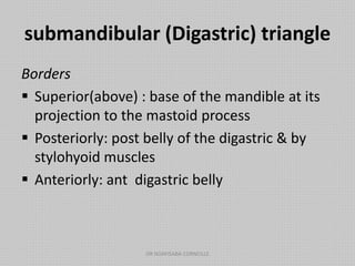 submandibular (Digastric) triangle
Borders
 Superior(above) : base of the mandible at its
projection to the mastoid process
 Posteriorly: post belly of the digastric & by
stylohyoid muscles
 Anteriorly: ant digastric belly
DR NDAYISABA CORNEILLE
 