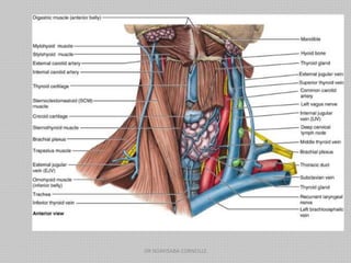 DR NDAYISABA CORNEILLE
 