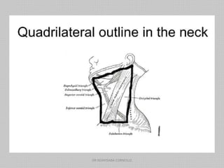 DR NDAYISABA CORNEILLE
 