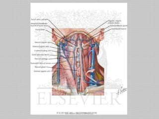 DR NDAYISABA CORNEILLE
 