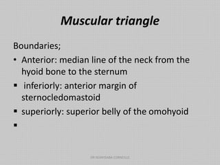 Muscular triangle
Boundaries;
• Anterior: median line of the neck from the
hyoid bone to the sternum
 inferiorly: anterior margin of
sternocledomastoid
 superiorly: superior belly of the omohyoid

DR NDAYISABA CORNEILLE
 