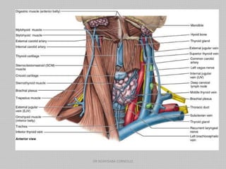 DR NDAYISABA CORNEILLE
 
