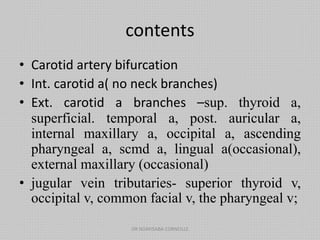 contents
• Carotid artery bifurcation
• Int. carotid a( no neck branches)
• Ext. carotid a branches –sup. thyroid a,
superficial. temporal a, post. auricular a,
internal maxillary a, occipital a, ascending
pharyngeal a, scmd a, lingual a(occasional),
external maxillary (occasional)
• jugular vein tributaries- superior thyroid v,
occipital v, common facial v, the pharyngeal v;
DR NDAYISABA CORNEILLE
 