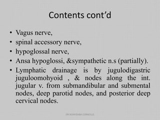 Contents cont’d
• Vagus nerve,
• spinal accessory nerve,
• hypoglossal nerve,
• Ansa hypoglossi, &sympathetic n.s (partially).
• Lymphatic drainage is by jugulodigastric
juguloomohyoid , & nodes along the int.
jugular v. from submandibular and submental
nodes, deep parotid nodes, and posterior deep
cervical nodes.
DR NDAYISABA CORNEILLE
 
