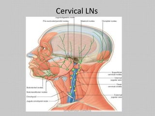 Cervical LNs
DR NDAYISABA CORNEILLE
 
