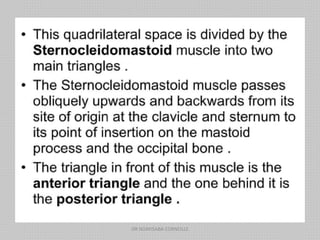 DR NDAYISABA CORNEILLE
 