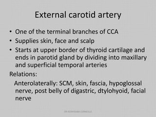 External carotid artery
• One of the terminal branches of CCA
• Supplies skin, face and scalp
• Starts at upper border of thyroid cartilage and
ends in parotid gland by dividing into maxillary
and superficial temporal arteries
Relations:
Anterolaterally: SCM, skin, fascia, hypoglossal
nerve, post belly of digastric, dtylohyoid, facial
nerve
DR NDAYISABA CORNEILLE
 