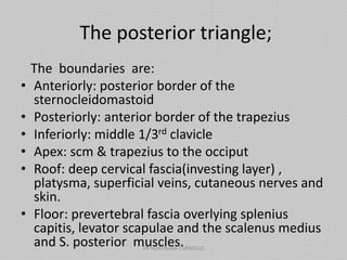 The posterior triangle;
The boundaries are:
• Anteriorly: posterior border of the
sternocleidomastoid
• Posteriorly: anterior border of the trapezius
• Inferiorly: middle 1/3rd clavicle
• Apex: scm & trapezius to the occiput
• Roof: deep cervical fascia(investing layer) ,
platysma, superficial veins, cutaneous nerves and
skin.
• Floor: prevertebral fascia overlying splenius
capitis, levator scapulae and the scalenus medius
and S. posterior muscles.
DR NDAYISABA CORNEILLE
 