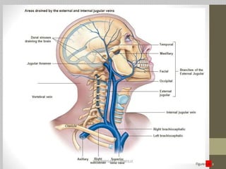 DR NDAYISABA CORNEILLE
 