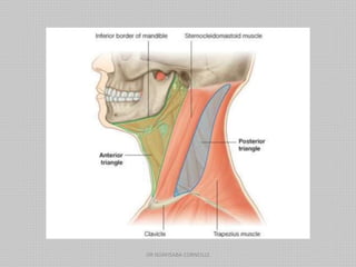 DR NDAYISABA CORNEILLE
 