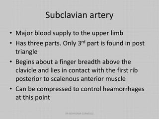 Subclavian artery
• Major blood supply to the upper limb
• Has three parts. Only 3rd part is found in post
triangle
• Begins about a finger breadth above the
clavicle and lies in contact with the first rib
posterior to scalenous anterior muscle
• Can be compressed to control heamorrhages
at this point
DR NDAYISABA CORNEILLE
 