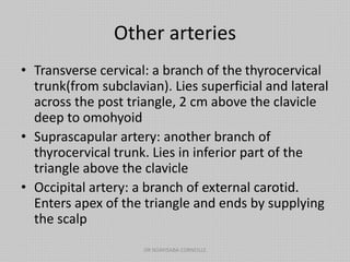 Other arteries
• Transverse cervical: a branch of the thyrocervical
trunk(from subclavian). Lies superficial and lateral
across the post triangle, 2 cm above the clavicle
deep to omohyoid
• Suprascapular artery: another branch of
thyrocervical trunk. Lies in inferior part of the
triangle above the clavicle
• Occipital artery: a branch of external carotid.
Enters apex of the triangle and ends by supplying
the scalp
DR NDAYISABA CORNEILLE
 