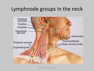 Lymphnode groups in the neck
DR NDAYISABA CORNEILLE
 