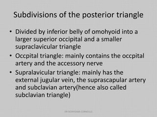 Subdivisions of the posterior triangle
• Divided by inferior belly of omohyoid into a
larger superior occipital and a smaller
supraclavicular triangle
• Occpital triangle: mainly contains the occpital
artery and the accessory nerve
• Supralavicular triangle: mainly has the
external jugular vein, the suprascapular artery
and subclavian artery(hence also called
subclavian triangle)
DR NDAYISABA CORNEILLE
 