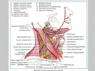 DR NDAYISABA CORNEILLE
 