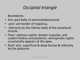 Occipital triangle
Boundaries;
• Ant: post belly of sternocleidomastoid
• post: ant border of trapezius,
• inferiorly by the inferior belly of the omohyoid
muscle.
• Floor: splenius capitis, levator scapulae, and
scaleni medius and posterior; semispinalis capitis
occasionally appears at the apex.
• Roof: skin, superficial & deep fasciae & inferiorly
by the platysma .
DR NDAYISABA CORNEILLE
 