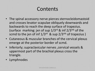 Contents
• The spinal accessory nerve pierces sternocleidomastoid
and crosses levator scapulae obliquely downwards and
backwards to reach the deep surface of trapezius.
(surface marking: jxn of sup 1/3rd & inf 2/3rds of the
scmd to the jxn of inf 1/3rd & sup 2/3rds of trapezius )
• Cutaneous & muscular branches of the cervical plexus
emerge at the posterior border of scmd.
• Inferiorly; supraclavicular nerves ,cervical vessels &
uppermost part of the brachial plexus cross the
triangle.
• Lymphnodes
DR NDAYISABA CORNEILLE
 
