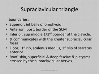 Supraclavicular triangle
boundaries;
• Superior: inf belly of omohyoid
• Anterior : post. border of the SCM
• Inferior: sup middle 1/3rd boarder of the clavicle.
• & communicates with the greater supraclavicular
fossa
• Floor; 1st rib, scalenus medius, 1st slip of serratus
anterior.
• Roof; skin, superficial & deep fasciae & platysma
crossed by the supraclavicular nerves.
DR NDAYISABA CORNEILLE
 