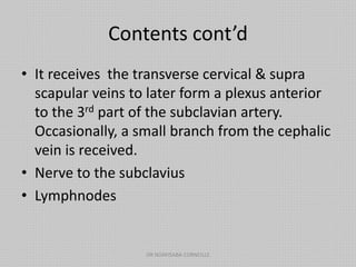 Contents cont’d
• It receives the transverse cervical & supra
scapular veins to later form a plexus anterior
to the 3rd part of the subclavian artery.
Occasionally, a small branch from the cephalic
vein is received.
• Nerve to the subclavius
• Lymphnodes
DR NDAYISABA CORNEILLE
 