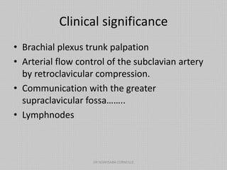 Clinical significance
• Brachial plexus trunk palpation
• Arterial flow control of the subclavian artery
by retroclavicular compression.
• Communication with the greater
supraclavicular fossa……..
• Lymphnodes
DR NDAYISABA CORNEILLE
 