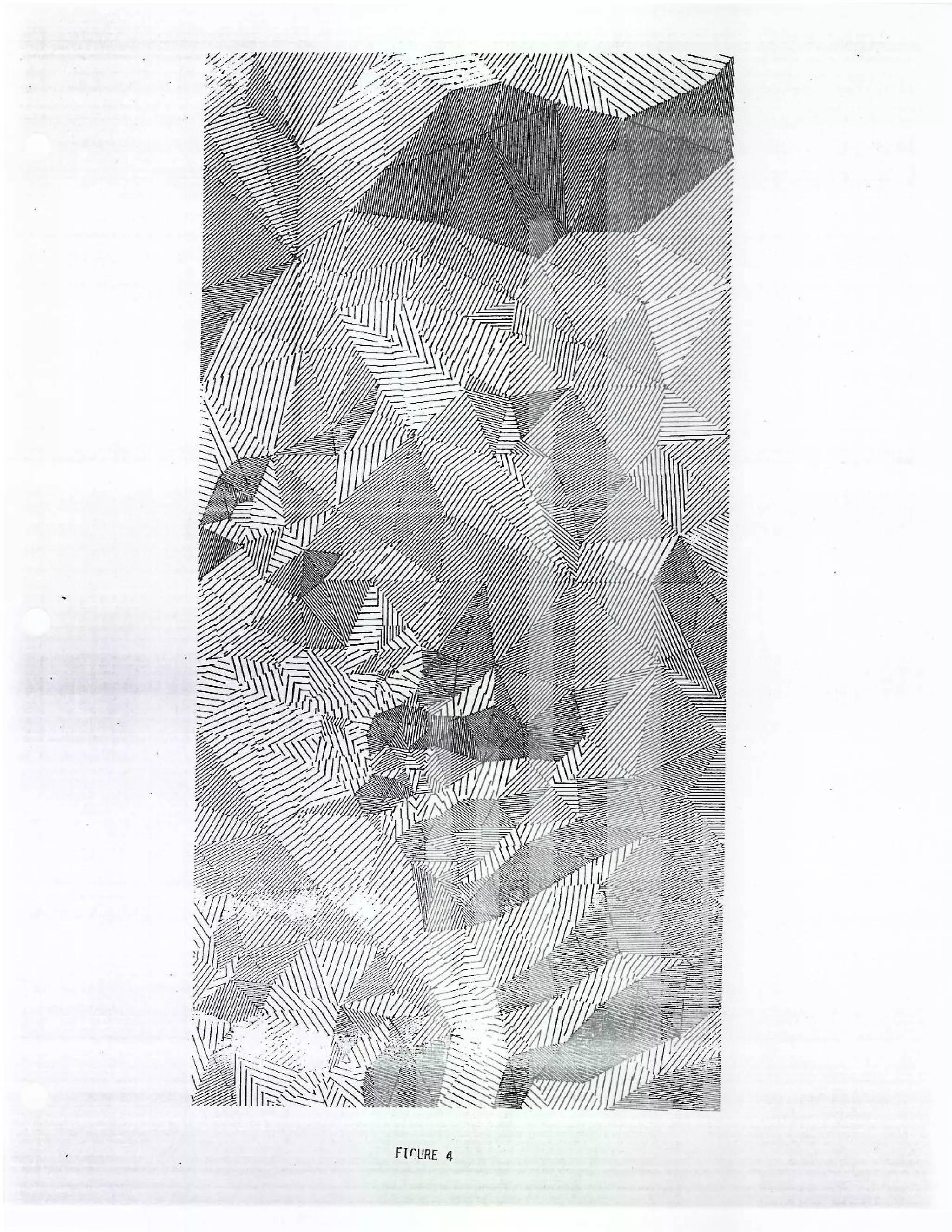 Triangular Trregular Network