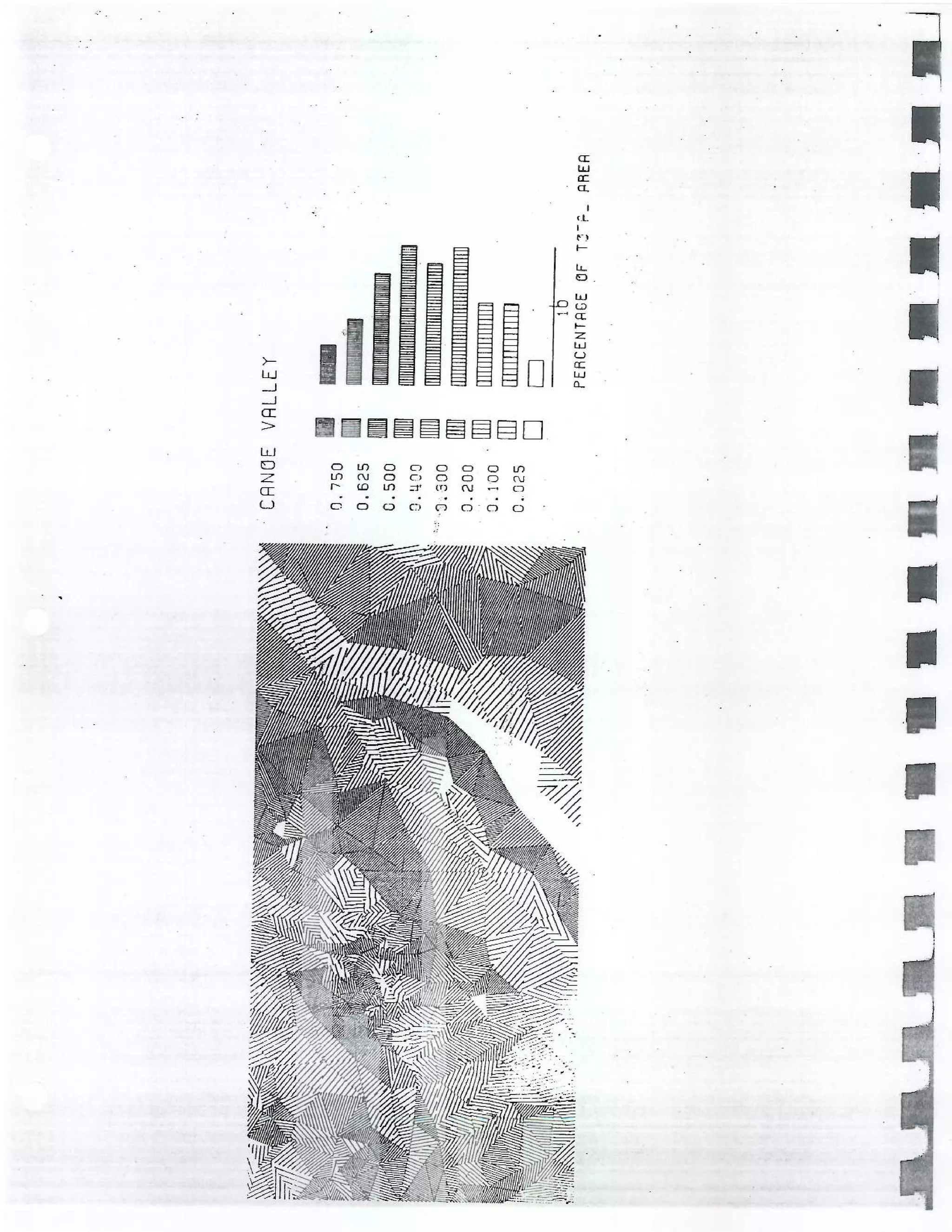 Triangular Trregular Network