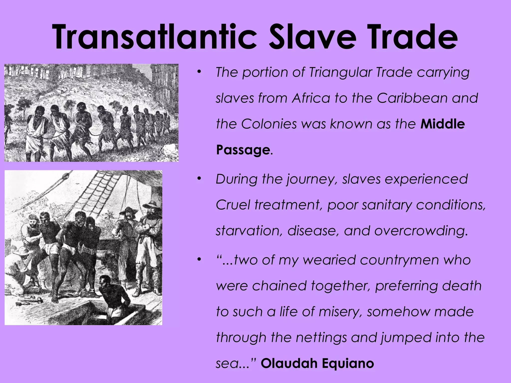 Transatlantic Slave Trade
• The portion of Triangular Trade carrying
slaves from Africa to the Caribbean and
the Colonies was known as the Middle
Passage.
• During the journey, slaves experienced
Cruel treatment, poor sanitary conditions,
starvation, disease, and overcrowding.
• “...two of my wearied countrymen who
were chained together, preferring death
to such a life of misery, somehow made
through the nettings and jumped into the
sea...” Olaudah Equiano