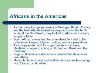 Africans in the Americas As the major European powers of Portugal, Britain, France, and the Netherlands looked for ways to exploit the fertile lands of the New World, they looked to Africa for a steady supply of labor.  Soon, African slaves had become absolutely vital to the cultivation of sugar, tobacco, cotton, and rice plantations. As European demand for sugar began to increase, plantations began to spring up throughout Brazil and the Caribbean.  Sugar cultivation created a huge demand for slave labor from Africa.  Many plantations produced additional crops such as indigo, rice, tobacco, and coffee. 