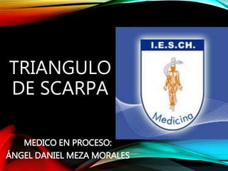 TRIANGULO
DE SCARPA
MEDICO EN PROCESO:
ÁNGEL DANIEL MEZA MORALES
 