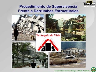 Procedimiento de Supervivencia
Frente a Derrumbes Estructurales




         Triángulo de Vida




                      Gerencia Prevención de Riesgos y Medio Ambiente
 
