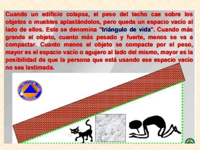 Triangulo de la vida