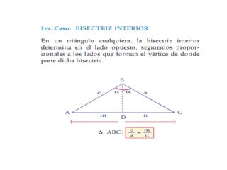 Triangulo oblicuangulo