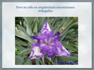 Pero no sólo en arquitectura encontramos triángulos http://fav.me/d2p2seo 