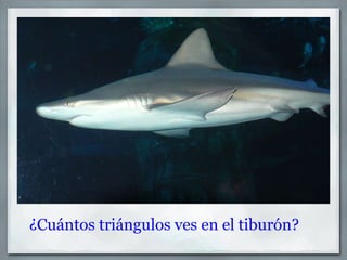 ¿Cuántos triángulos ves en el tiburón? 
