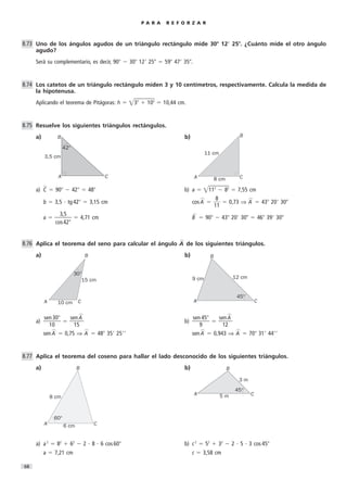 Triangulos Problemas