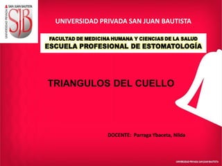 UNIVERSIDAD PRIVADA SAN JUAN BAUTISTA
TRIANGULOS DEL CUELLO
DOCENTE: Parraga Ybaceta, Nilda
 