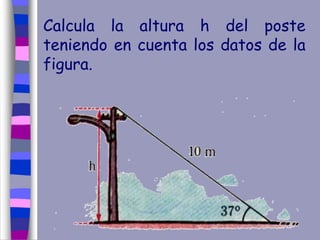 Calcula la altura h del poste
teniendo en cuenta los datos de la
figura.
 